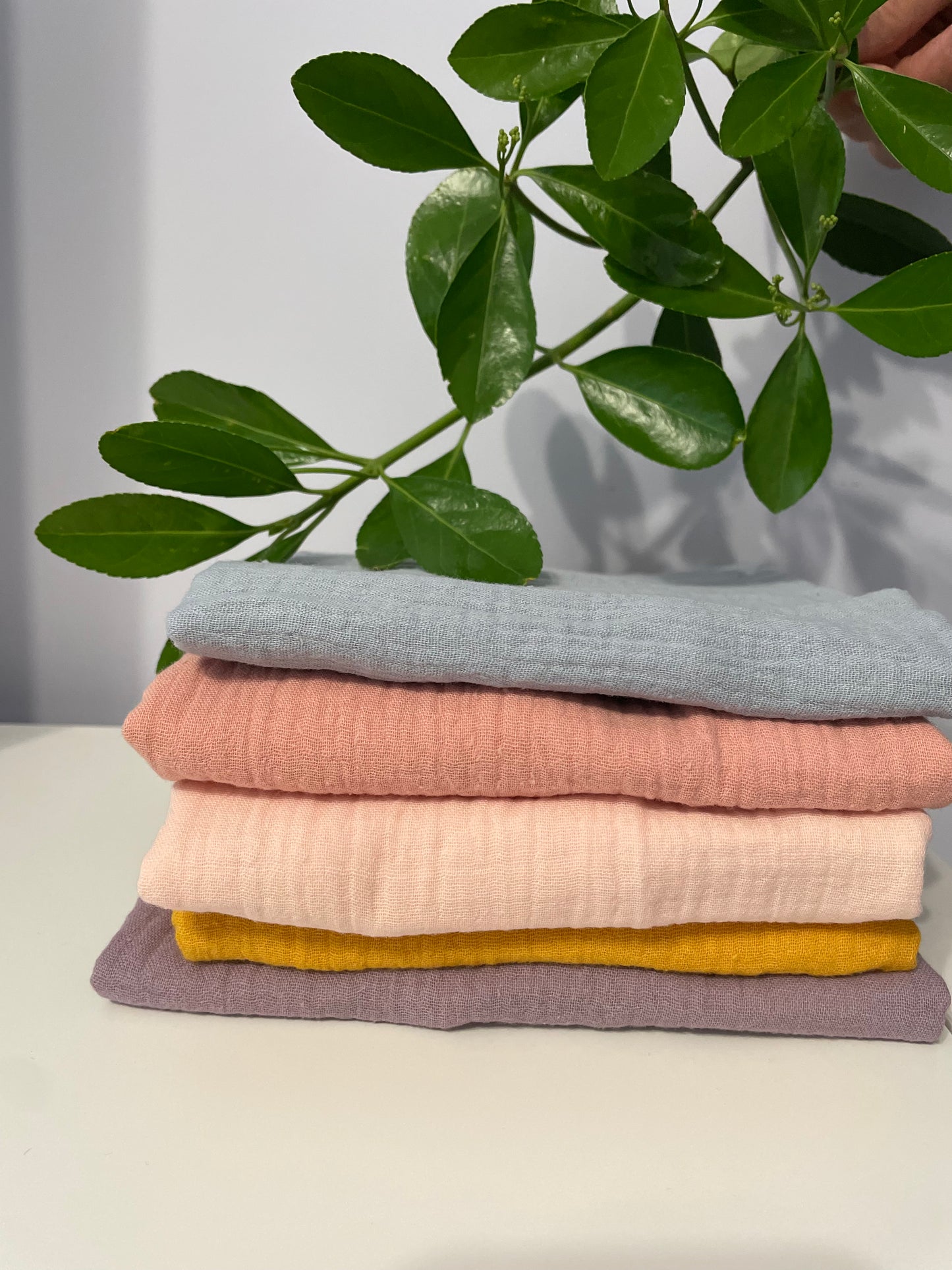 Едноцветни Пелени